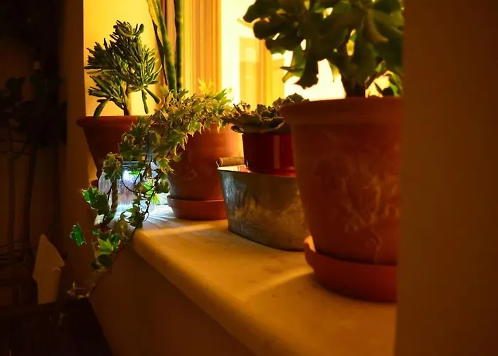 Elektra Apartment-kallithea