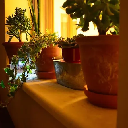 Elektra Apartment-kallithea